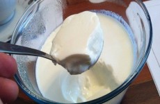 13062550_494279434114840_2477660858749342486_n